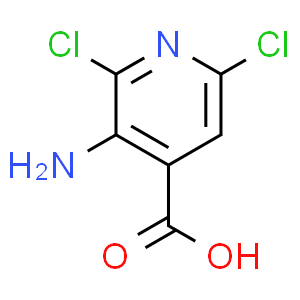 3-氨基-2,6-3,5-二氯吡啶-4-羧酸